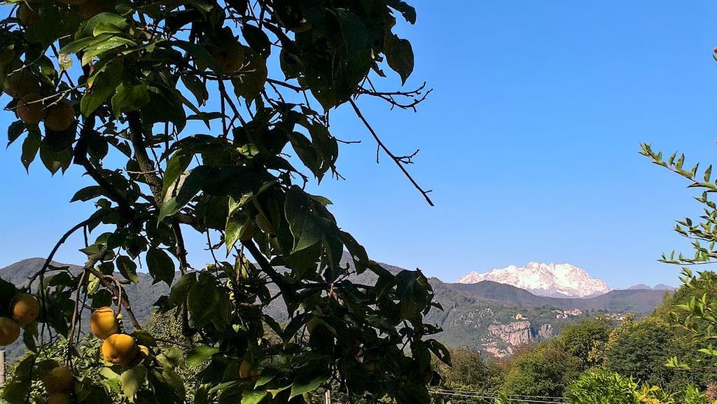 La Casa Di Tilde Apartament Bolzano Novarese Zewnętrze zdjęcie